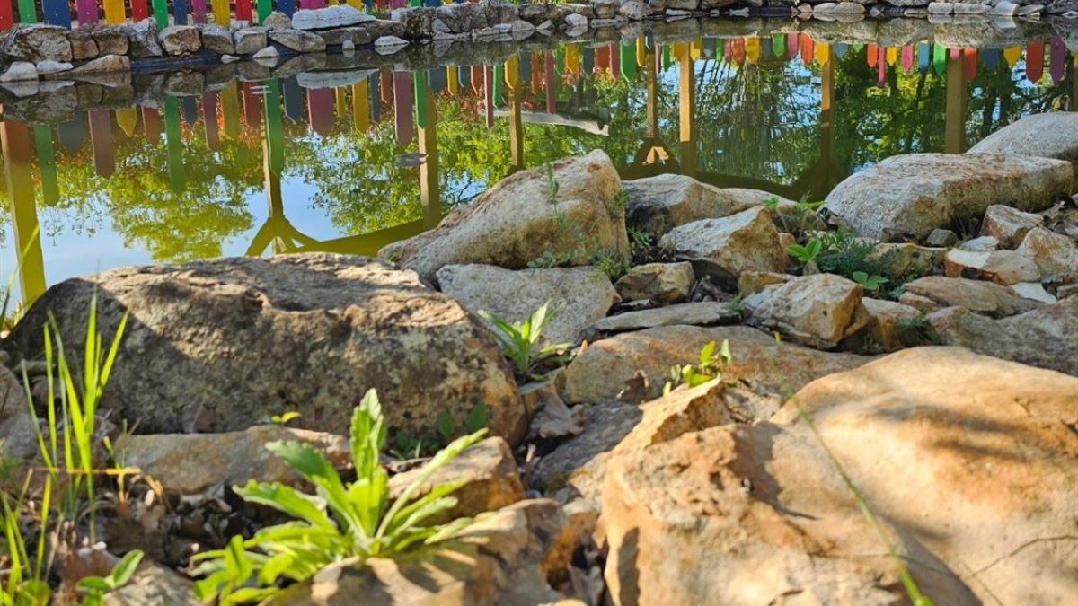 Jedinstveni i prvi ptičji park na ovim područjima – Papago park Croatia