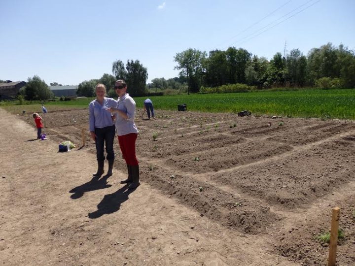 Grad Ludbreg poziva zaintersirane da se jave za korištenje gradskih vrtnih parcela