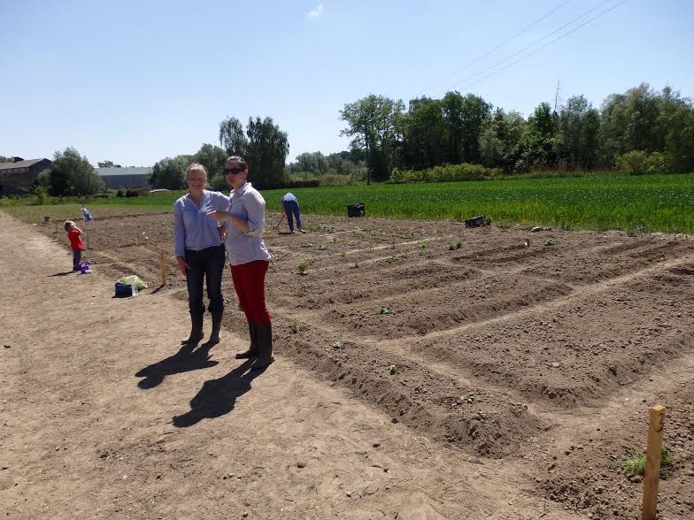 Grad Ludbreg poziva zaintersirane da se jave za korištenje gradskih vrtnih parcela