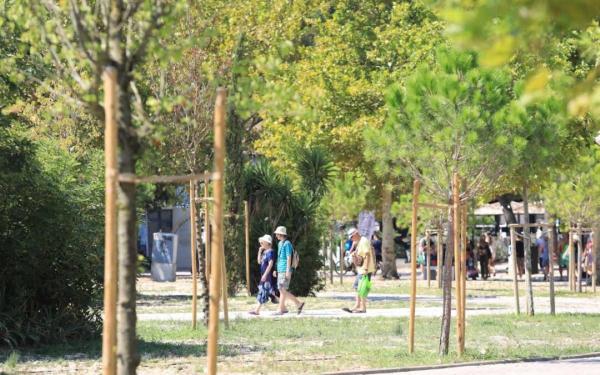 Makarska zasadila novih 400 stabala