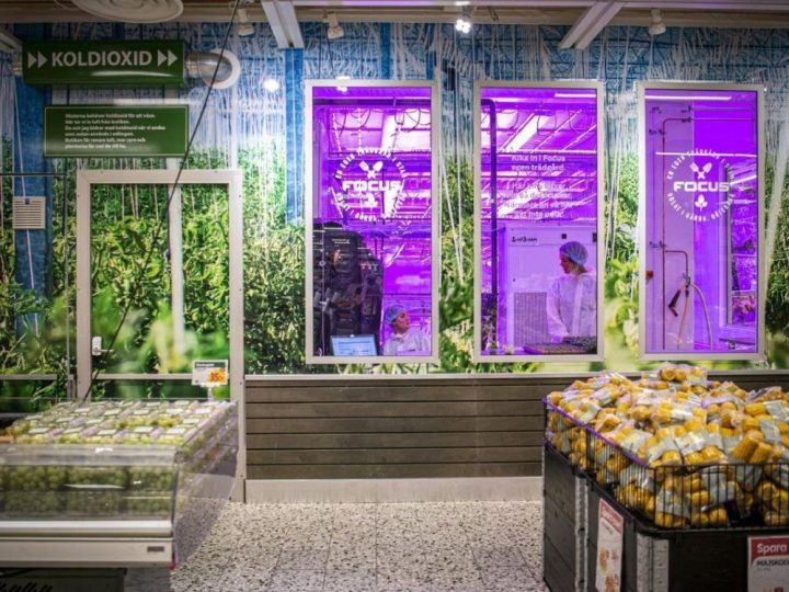 SweGreen je švedska vertikalna farma koja uzgaja povrće unutar supermarketa