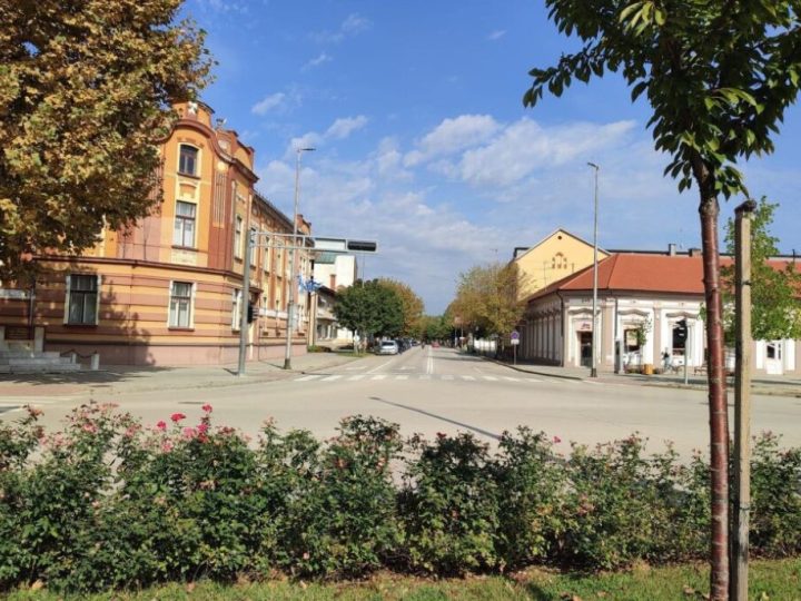 U Županji u planu sadnja stotinjak stabala, uz 3500 maćuhica i lukovica tulipana u centru grada