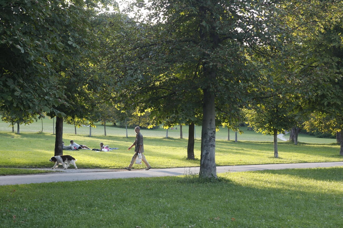 Ljubljana je peti put zaredom proglašena »Tree City« na globalnoj razini