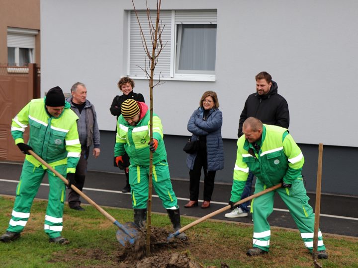 Grad Đakovo ove godine posadio 1400 stabala!