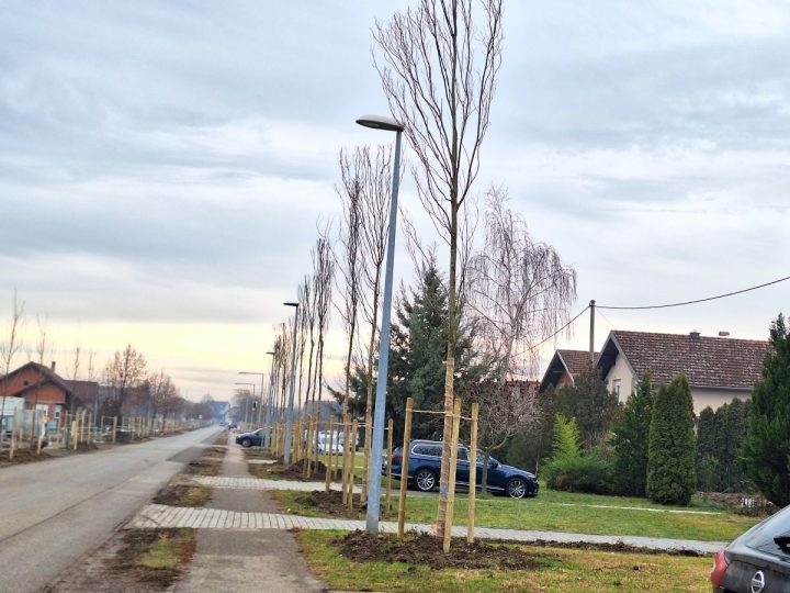 Zeleno i funkcionalno – novi drvored u Slavonskom Brodu