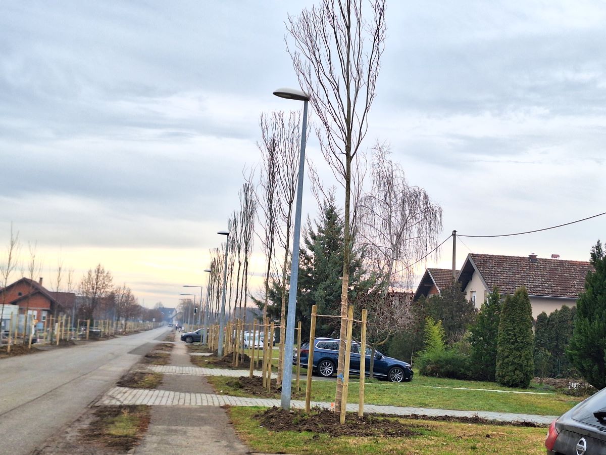Zeleno i funkcionalno – novi drvored u Slavonskom Brodu