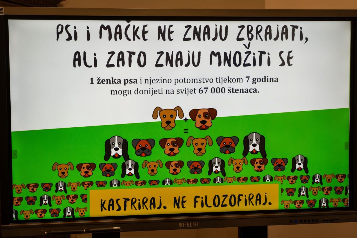 Grad Karlovac i dalje sufinancira sterilizaciju i kastraciju pasa i mačaka