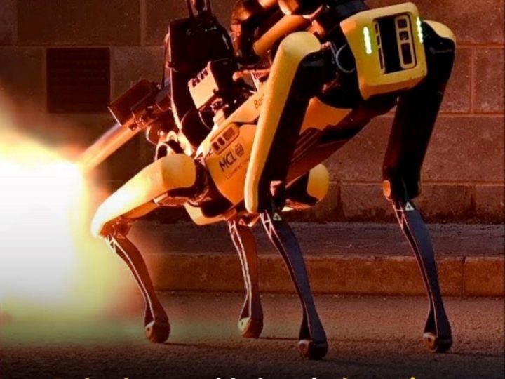Ovi robopsi obučeni su za uklanjanje bombi