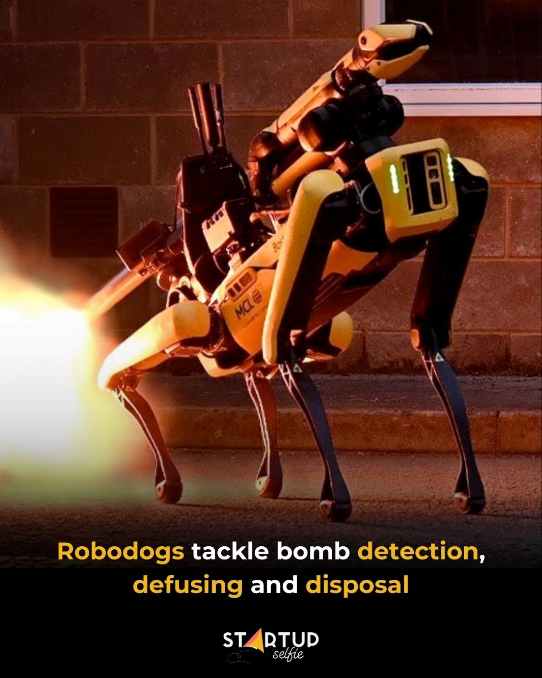 Ovi robopsi obučeni su za uklanjanje bombi