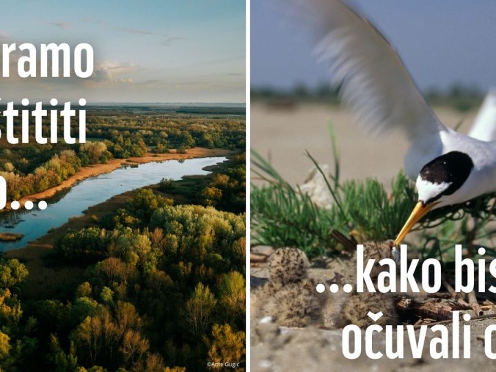 Vlažna staništa bilježe zabrinjavajući pad populacija biljnih i životinjskih vrsta