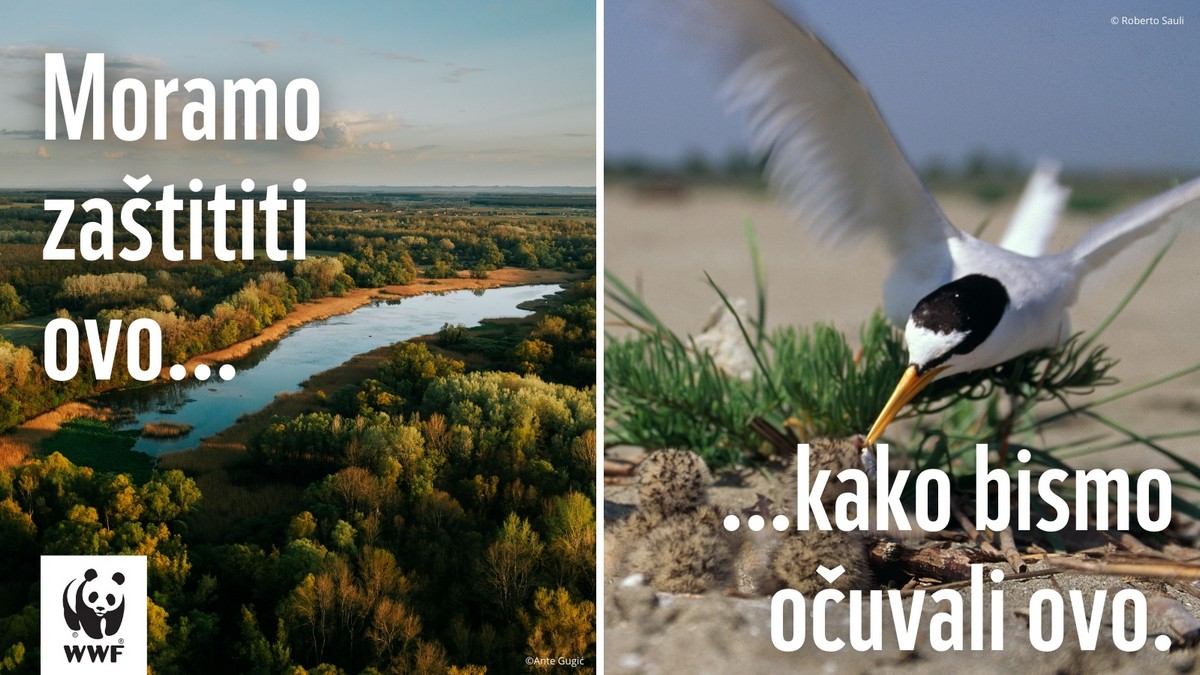 Vlažna staništa bilježe zabrinjavajući pad populacija biljnih i životinjskih vrsta