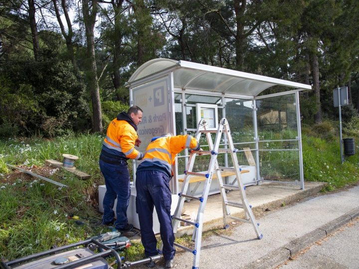 Grad Pula krenuo s ozelenjivanjem autobusnih nadstrešnica