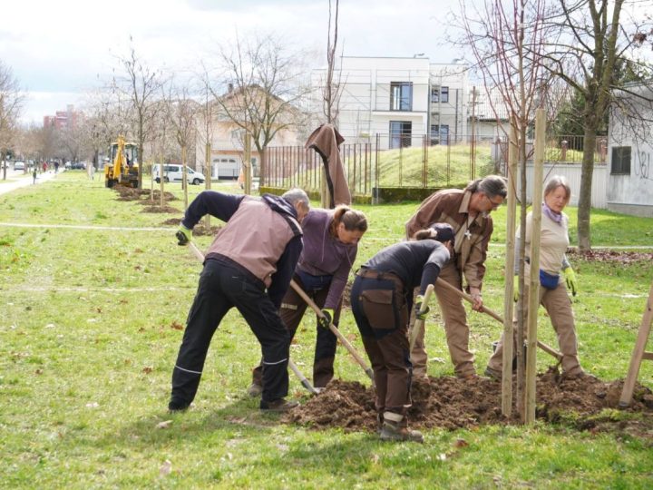 Nastavlja se ozelenjavanje Velike Gorice