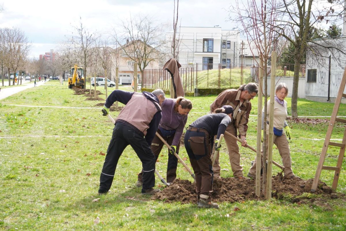 Nastavlja se ozelenjavanje Velike Gorice