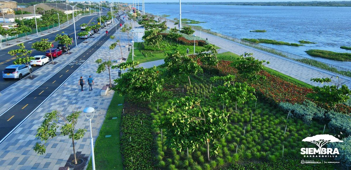 Barranquilla: pionirski ‘BiodiverCity’