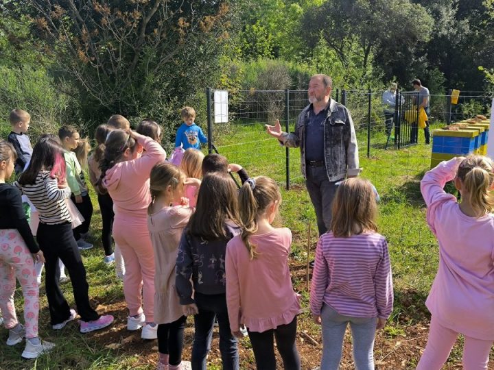 Povodom Dana planeta Zemlje Grad Rovinj postavio urbani pčelinjak