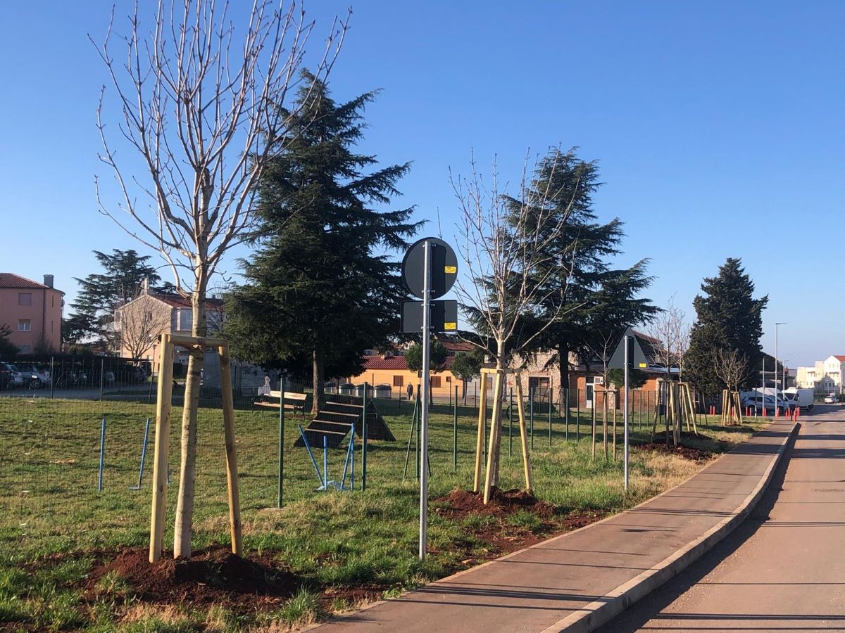 ZELENI UMAG: Ubrzo sadnja novih 368 stabala na javnim površinama