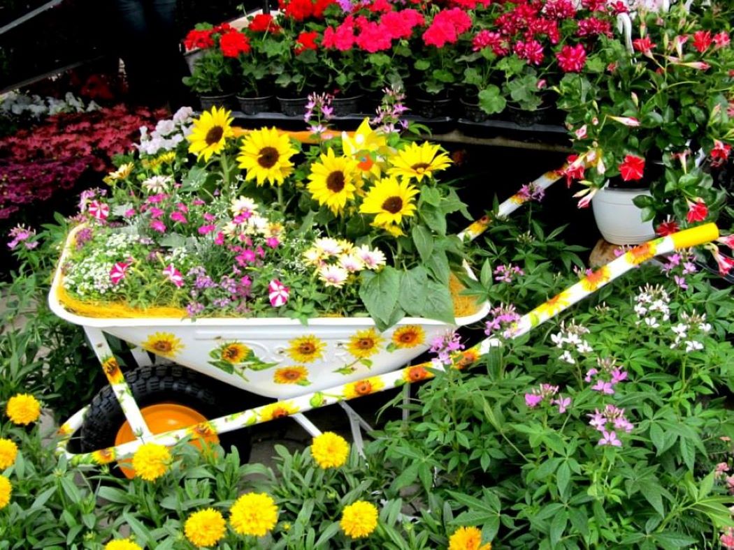 Jedna od najvećih cvjetnih manifestacija u RH okupit će rekordan broj izlagača i posjetitelja