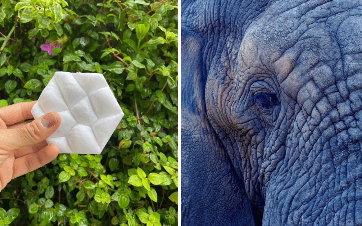 Revolucionarna inovacija iz Singapura: Gljive hlade zgrade na prirodan način!