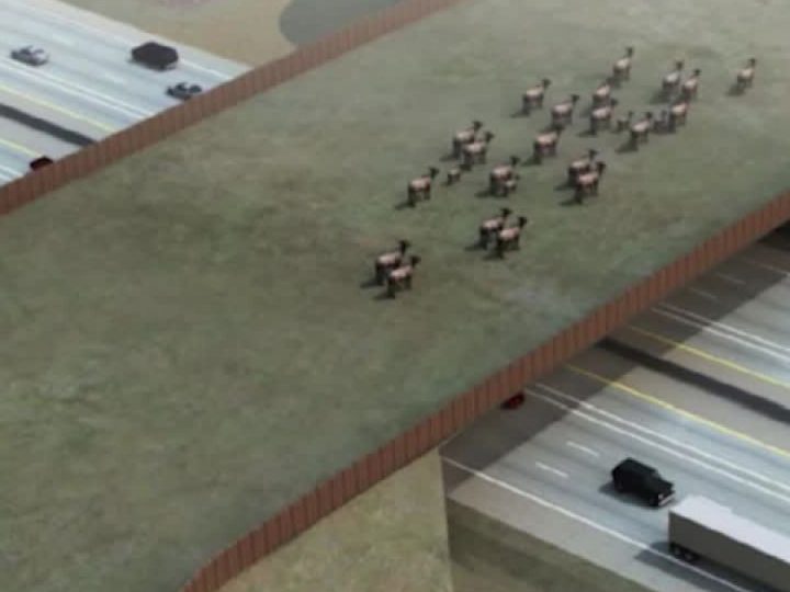 Kolorado gradi “najveći” prijelaz za divlje životinje na svijetu: Sigurnost životinja i vozača na prvom mjestu!