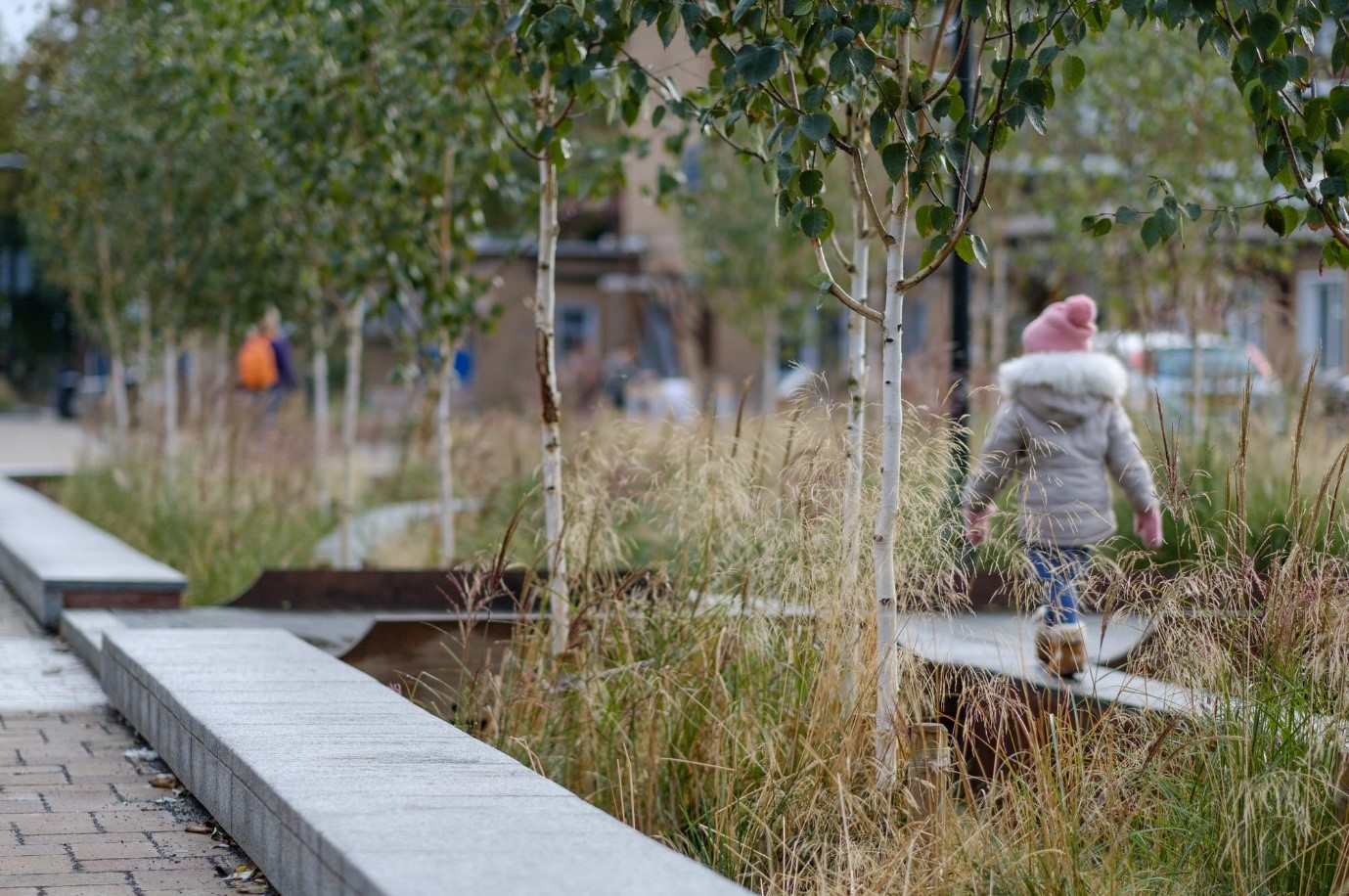 Gradsko vijeće Dublina napreduje s projektom zelene infrastrukture