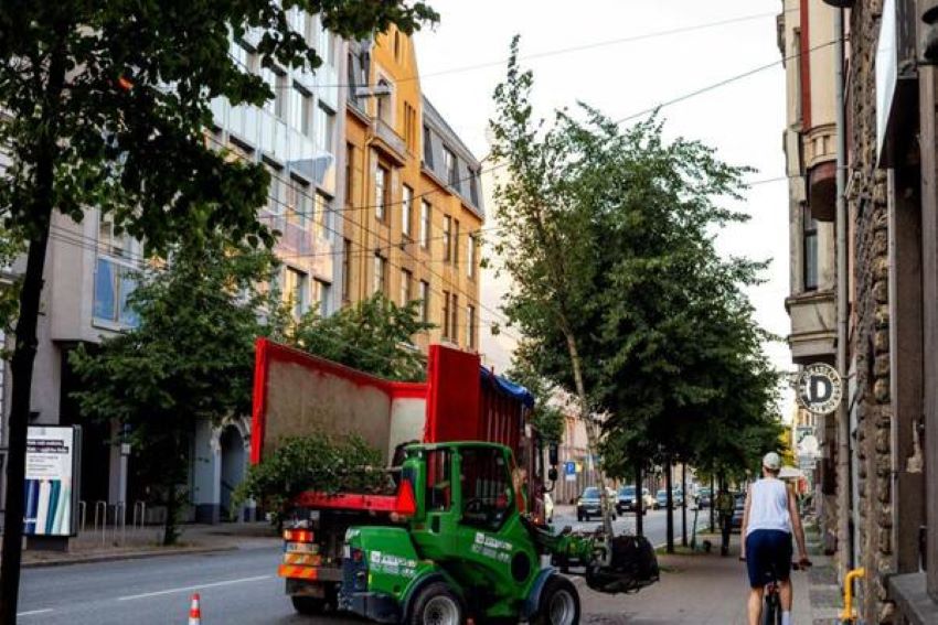 Riga započinje sadnju drveća velikih razmjera u centru grada
