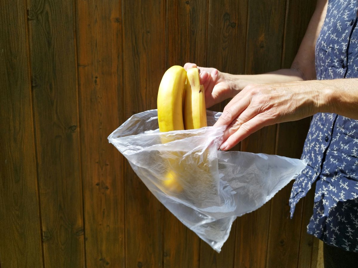 Plastične vrećice odlaze u povijest: što možemo naučiti iz uspjeha savezne države Vermont?