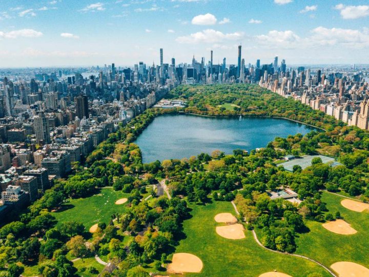 New York City pokreće plan za razvoj urbanih šuma