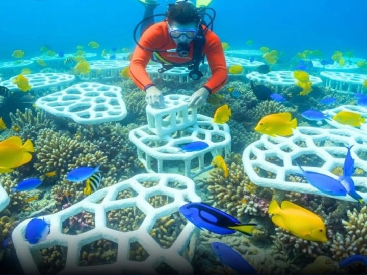 U Meksiku koriste ekološki prihvatljive 3D printane koraljne okvire kako bi obnovili propadajuće grebene