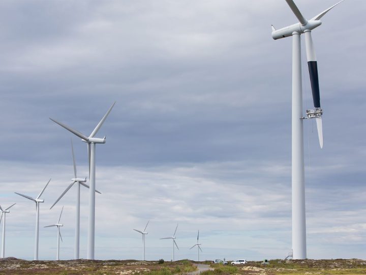 Kako samo jedna lopatica vjetroturbine obojana u crno spašava ptice