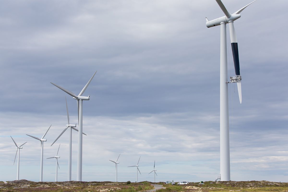 Kako samo jedna lopatica vjetroturbine obojana u crno spašava ptice