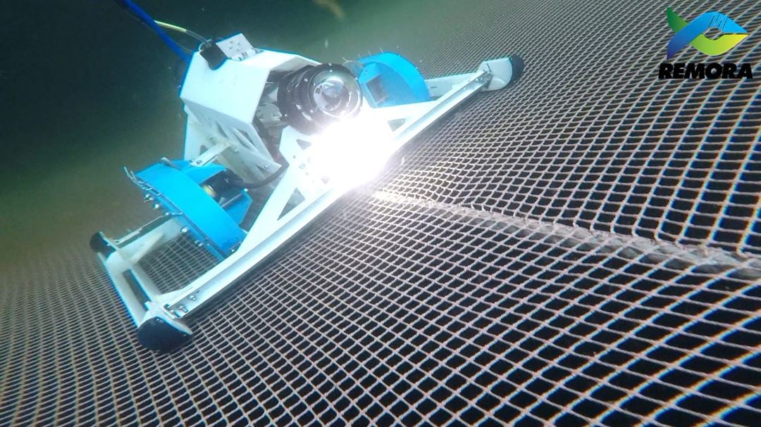 Roboti brinu o norveškoj ribi
