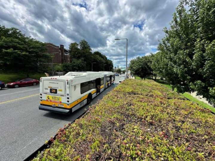 Prvi američki grad počinje saditi zelene krovove na autobusnim stajalištima