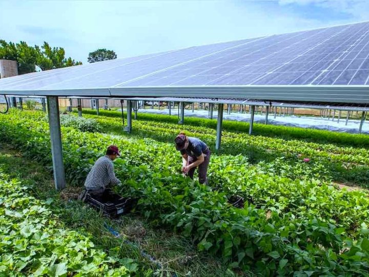 Makedonija planira agrosunčane elektrane na poljoprivrednim površinama
