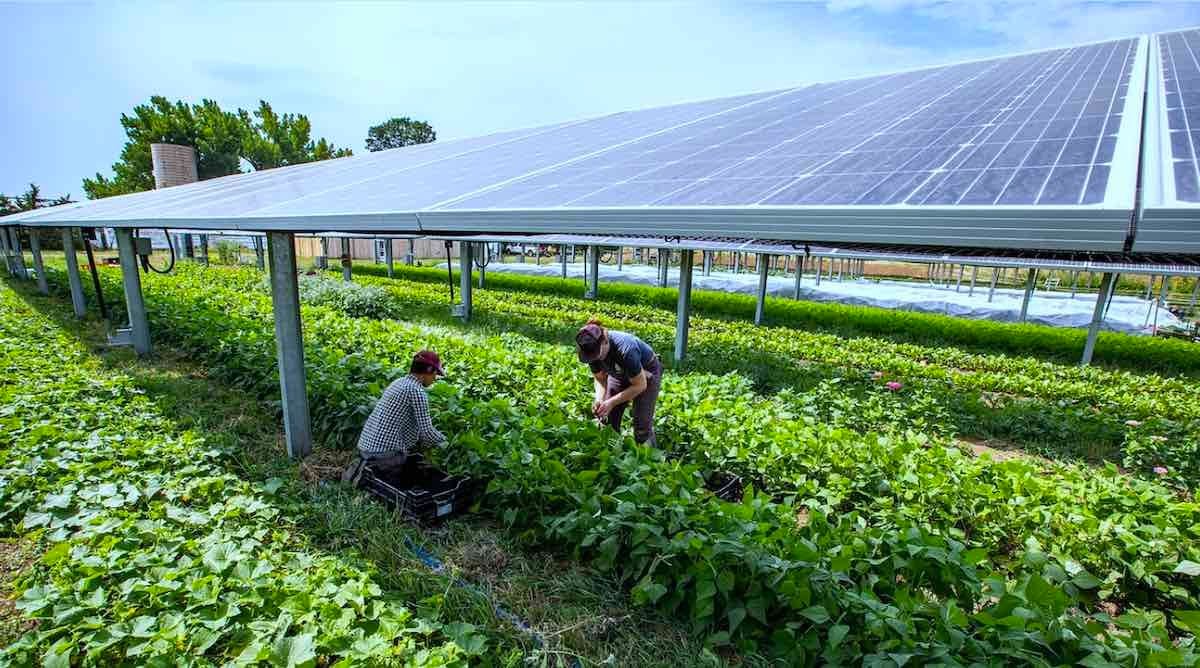 Makedonija planira agrosunčane elektrane na poljoprivrednim površinama