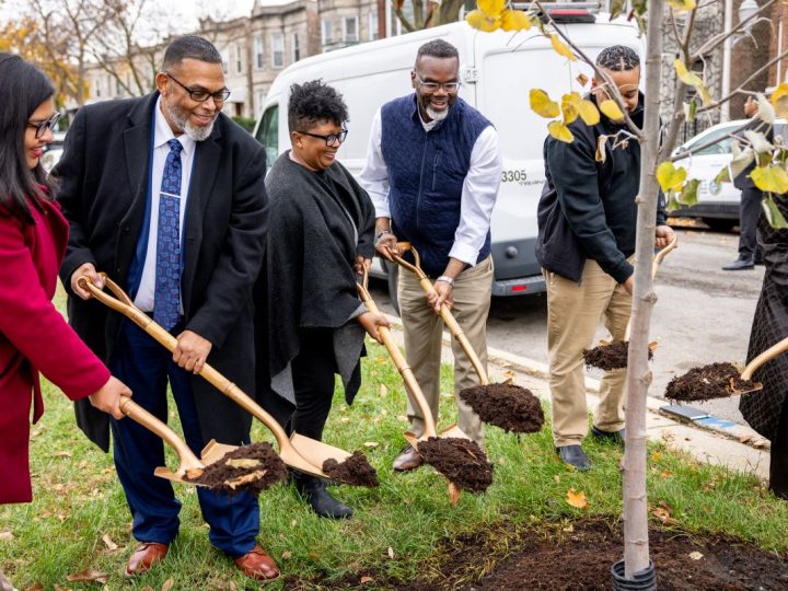 Chicago se približava cilju sadnje drveća s 90 posto postignutih ciljeva