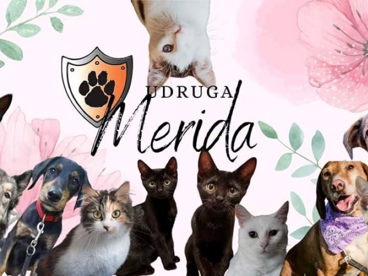 Udruga Merida moli za pomoć: “Ne možemo dalje bez vas”