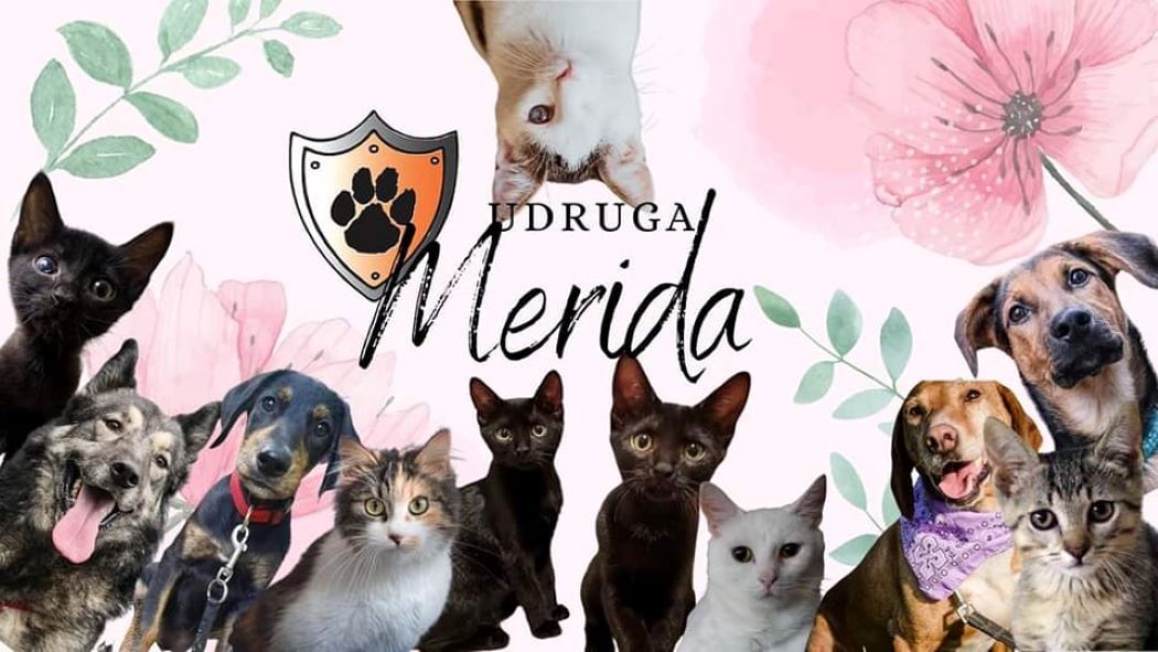Udruga Merida moli za pomoć: “Ne možemo dalje bez vas”