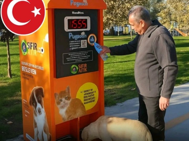 Automati u koje se ubacuju plastične boce ne izbacuju novac, već hranu za pse i mačke!