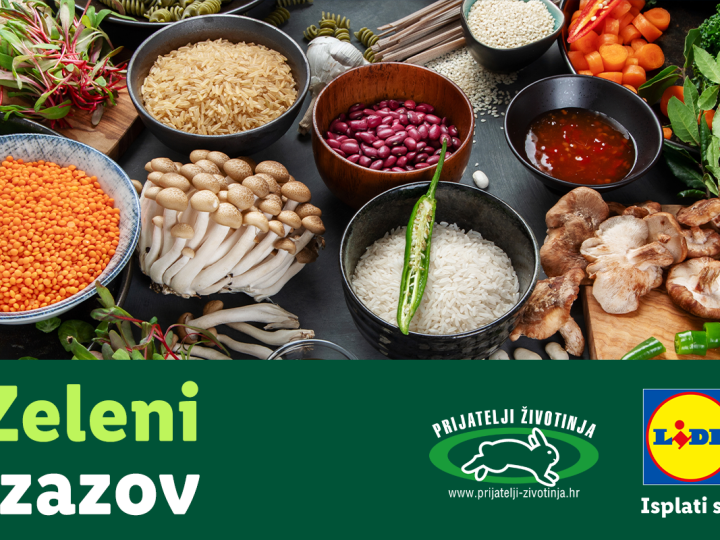 Kreće Zeleni izazov