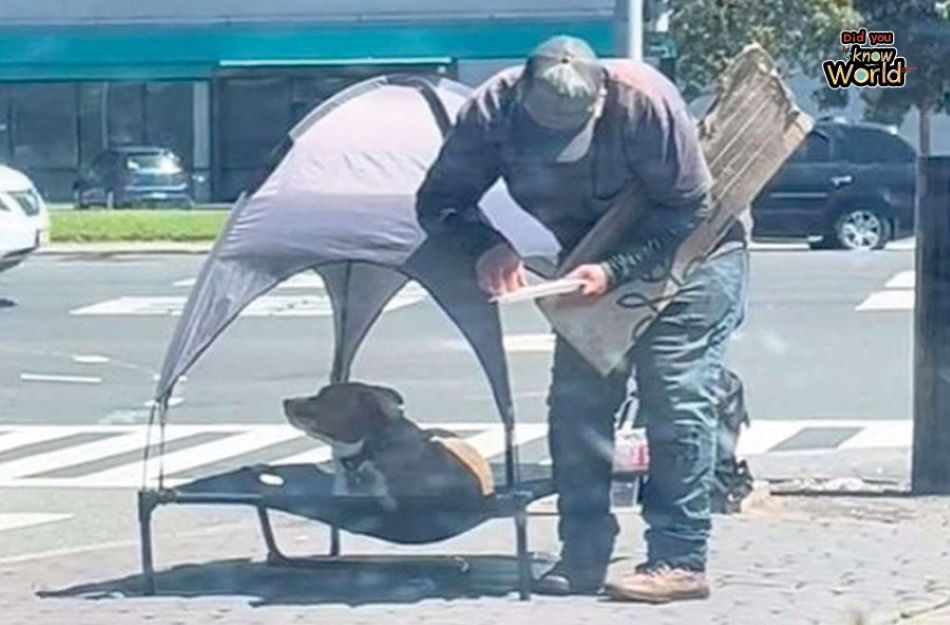 Beskućnik nahranio svog psa prije nego sebe