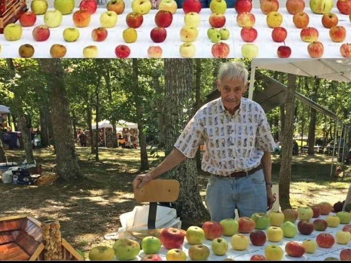 Priča o čovjeku koji je uspio sačuvati više od 1200 izumirućih sorti jabuka