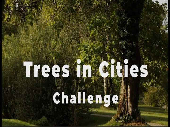“Trees in Cities Challenge” poziva na uključivanje gradova