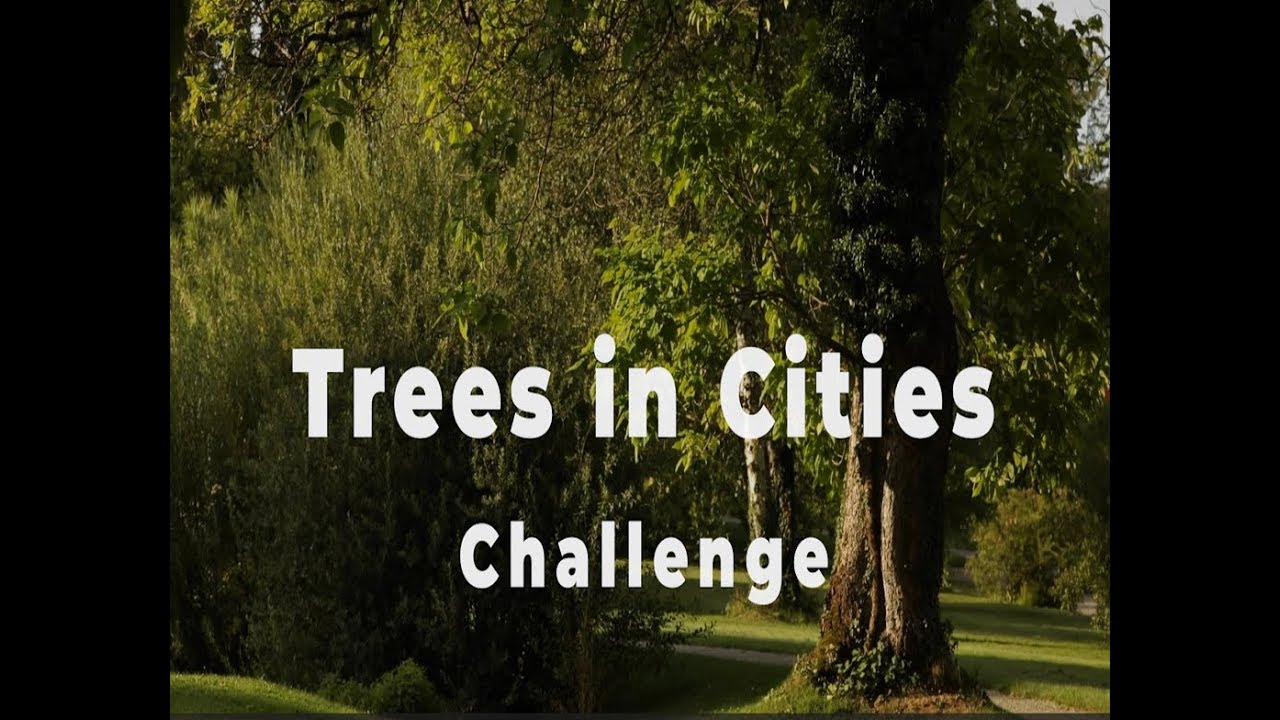 “Trees in Cities Challenge” poziva na uključivanje gradova