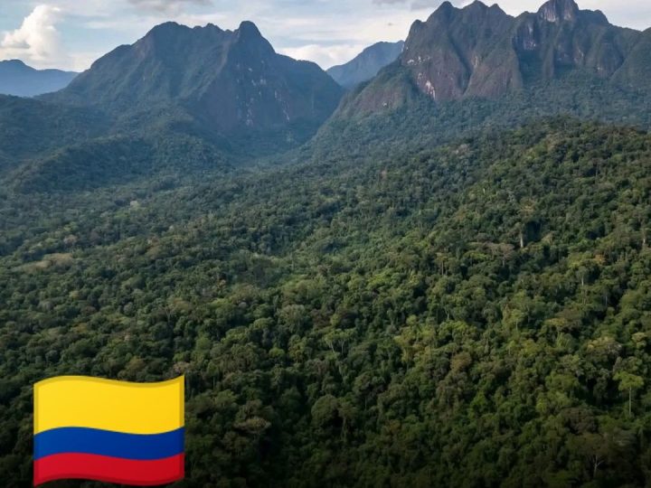 Kolumbija postaje prva amazonska nacija koja je u potpunosti zaštitila svoj dio kišne šume
