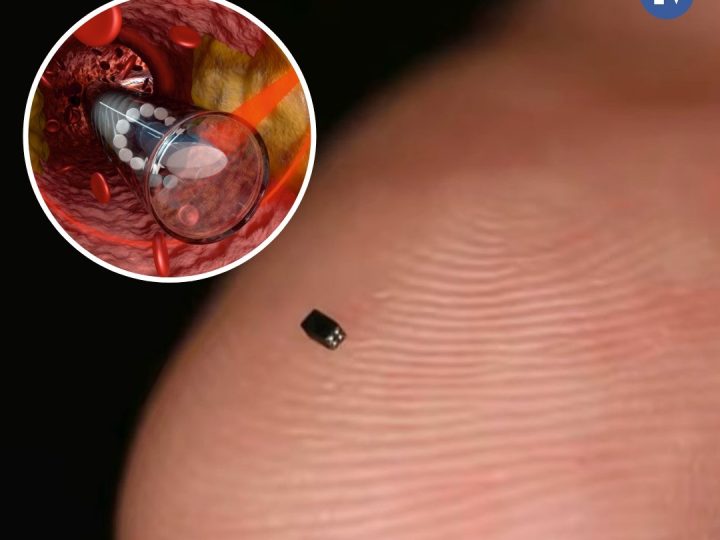 Najmanja kamera na svijetu može vidjeti unutar vašeg tijela