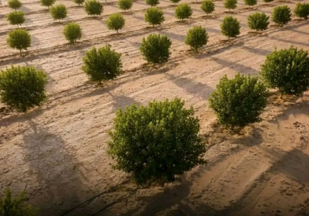 Jedan od najvećih ekoloških projekata ikad
