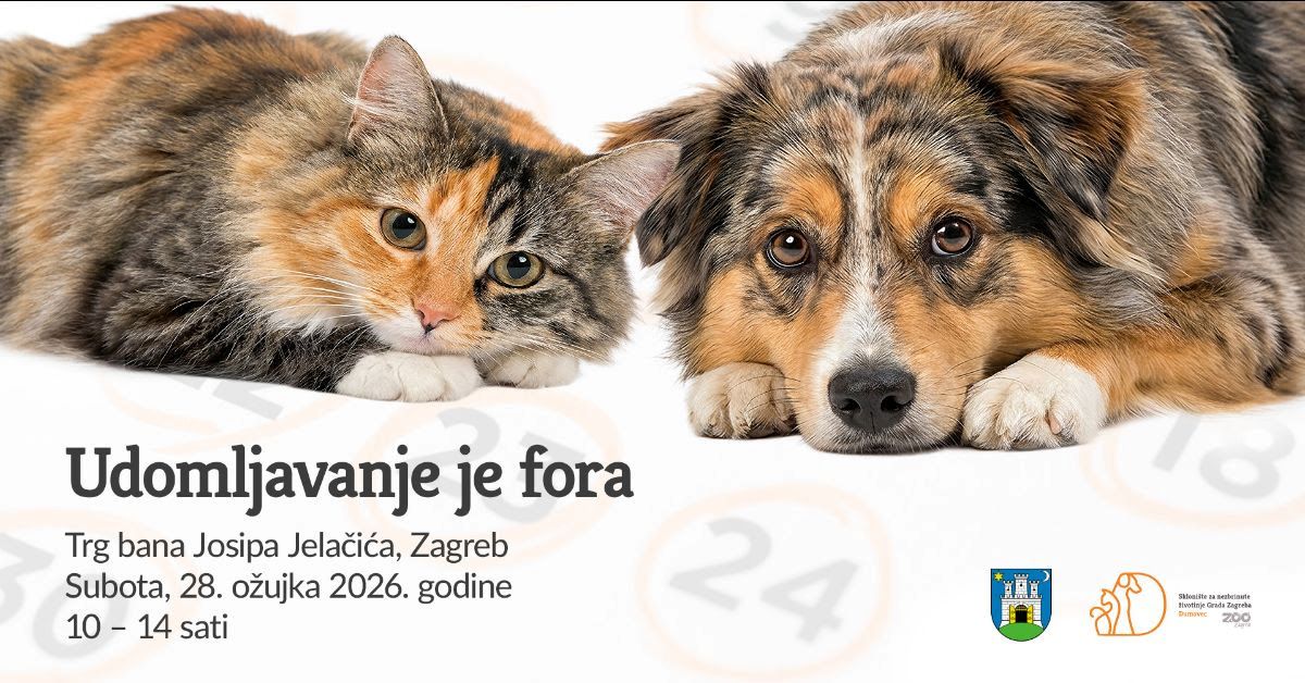 U subotu akcija Udomljavanje je fora