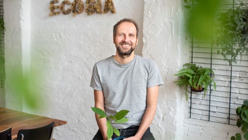 Tražilica Ecosia posadila je svoje 250-milijunto stablo!