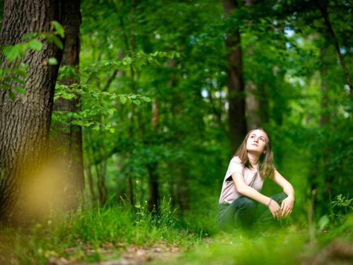 Shinrin-roku: Šumsko kupanje sve je popularnije među liječnicima na Zapadu